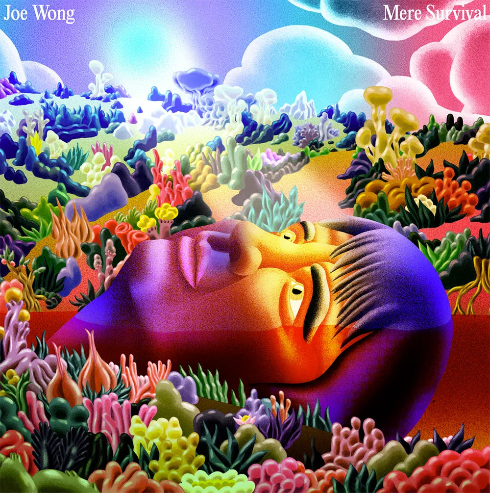 Joe Wong - Mere Survival