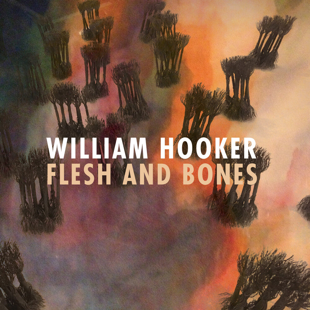 William Hooker - Flesh And Bones (LP)