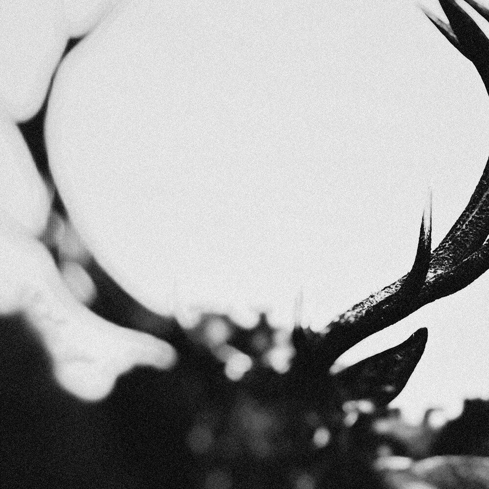 Ihsahn - Ihsahn (Orchestral Version)