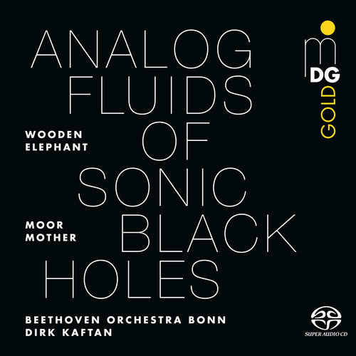 Moor Mother - Analog Fluids of Sonic Black Holes