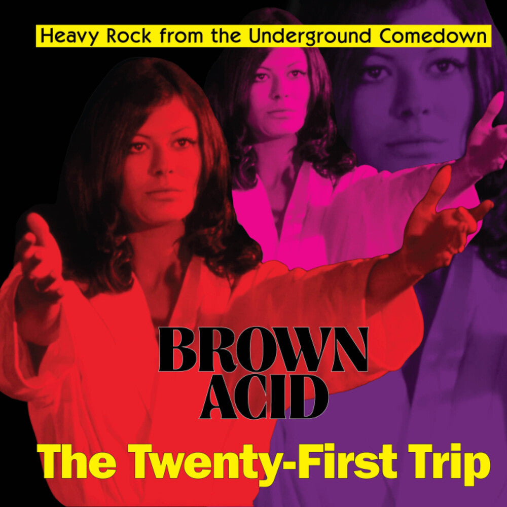 Various Artists - Brown Acid - The Twenty-First Trip