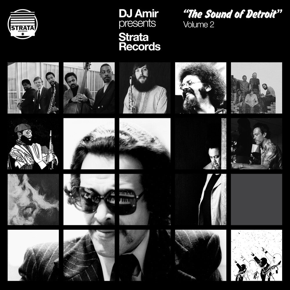 Dj Amir - Dj Amir Presents Strata Records: Sound Of Detroit (LP)