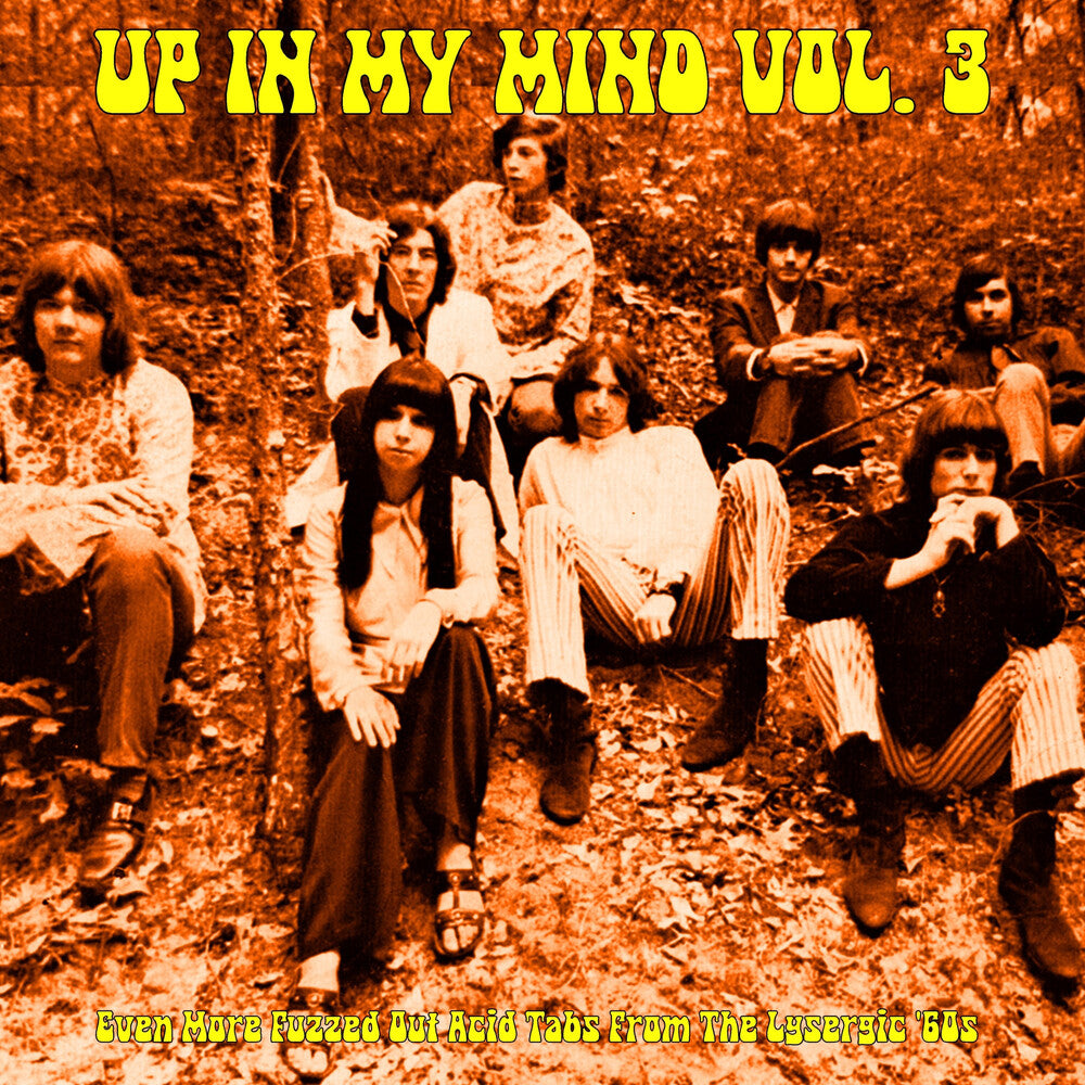 Up In My Mind Vol. 3: Even More Fuzzed Out / Var - Up In My Mind Vol. 3: Even More Fuzzed Out / Var