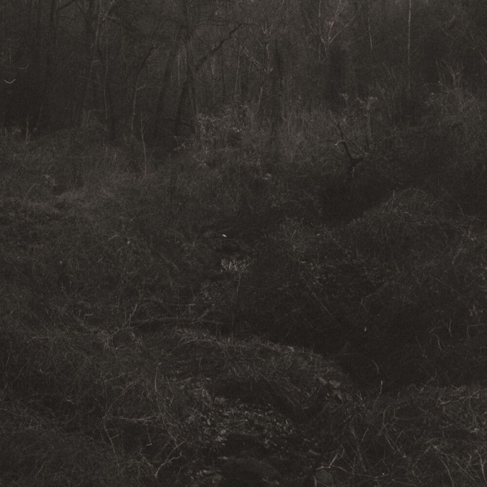 Lesley Mok - Transient (Download Included)
