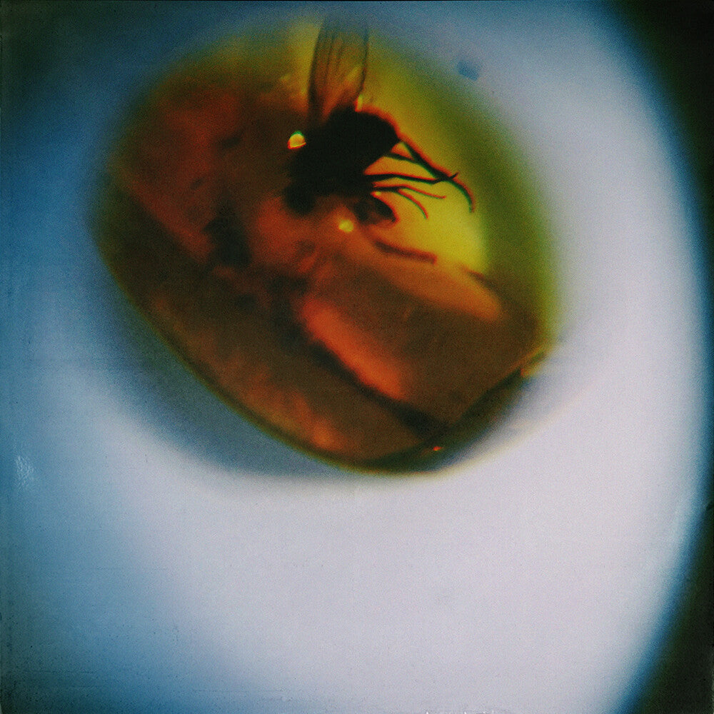 April + VISTA - Traditional Noise (Translucent Fly Green)