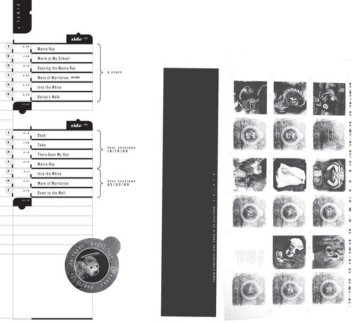 Pixies - Doolittle 25: B-Sides, Peel Sessions & Demos (Limited Edition Vinyl)