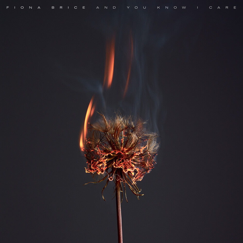 Fiona Brice - You Know I Care
