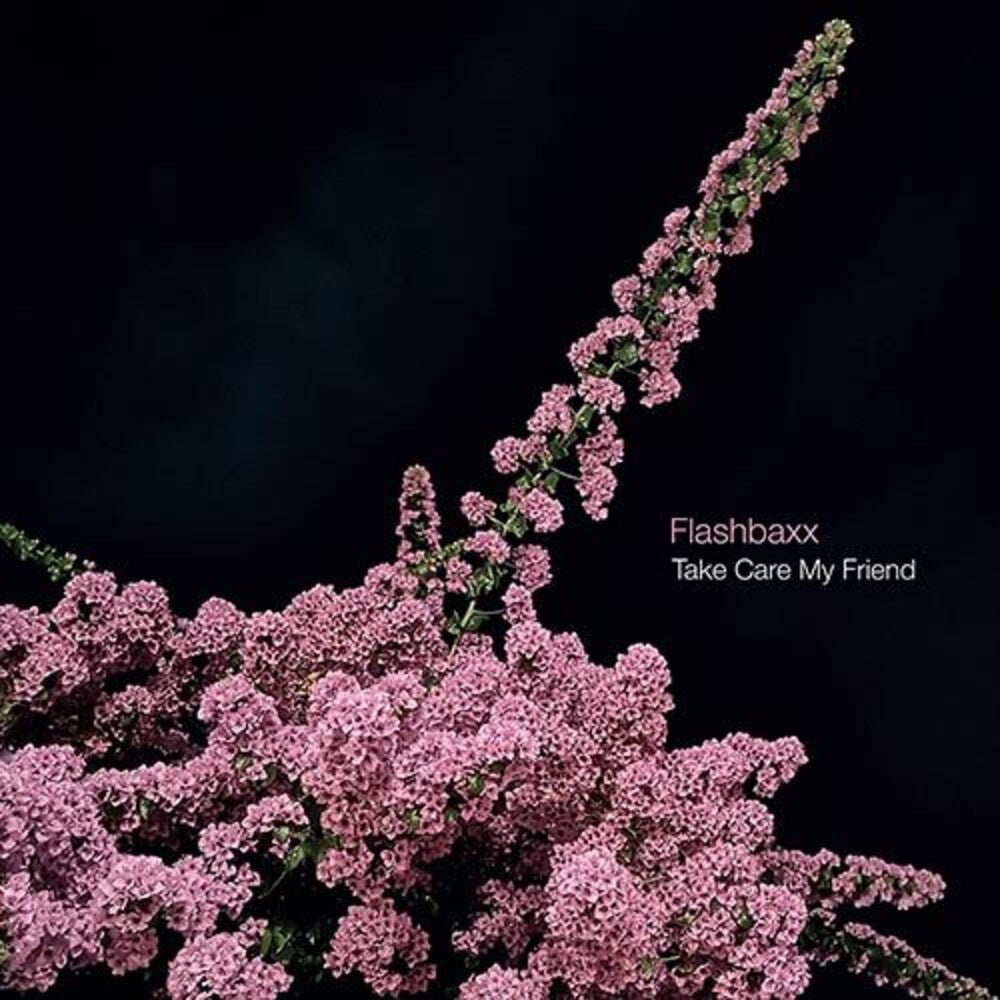 Flashbaxx - Take Care My Friend (LP)