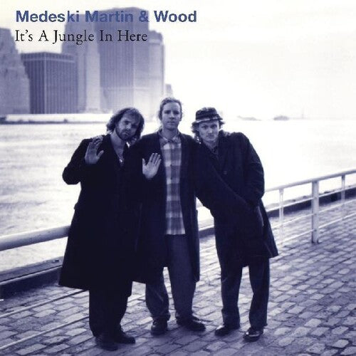 Martin Medeski & Wood - It's A Jungle In Here
