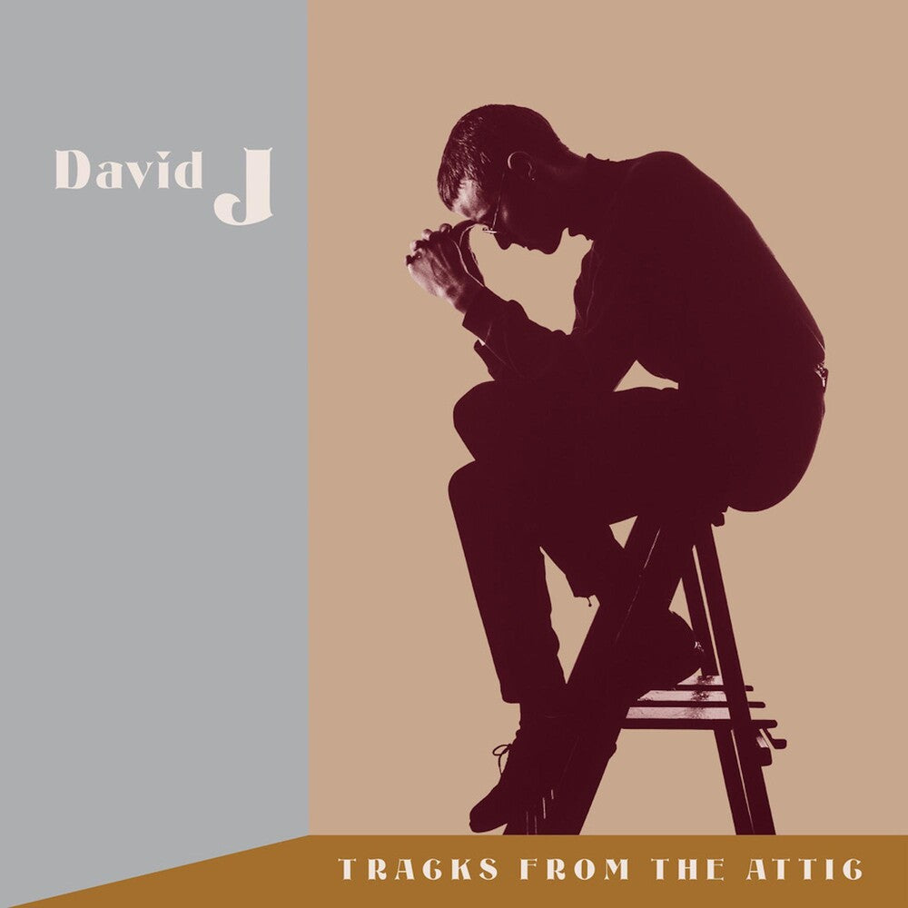 David J - Tracks From The Attic (W/Cd) (Brwn) (Clear Vinyl)
