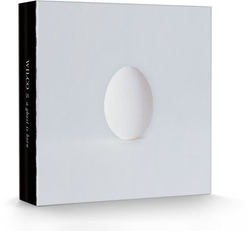 Wilco - A Ghost Is Born  (9LP/4CD box set)