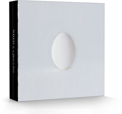 Wilco - A Ghost Is Born  (9LP/4CD box set)
