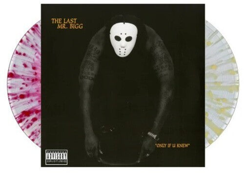 Last Mr Bigg - Only If U Knew