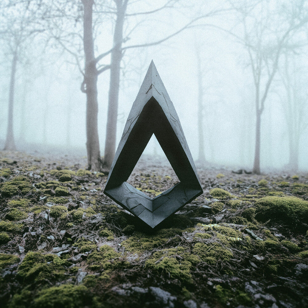 Kiasmos - II Reworked (Black)