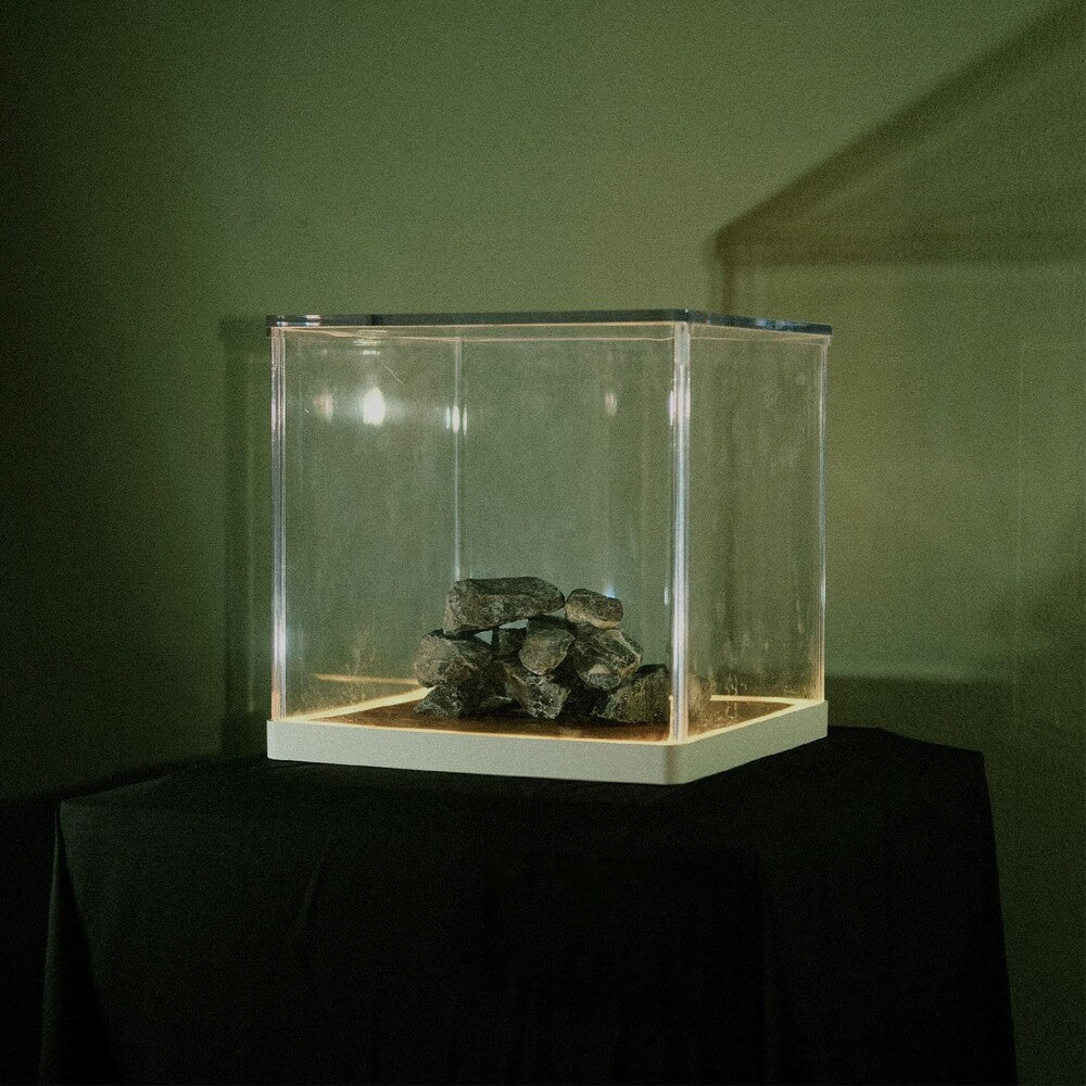 [PRE-ORDER] Tra Phaidin - Cloch's Clai (Indie Exclusive) (Indie Exclusive)