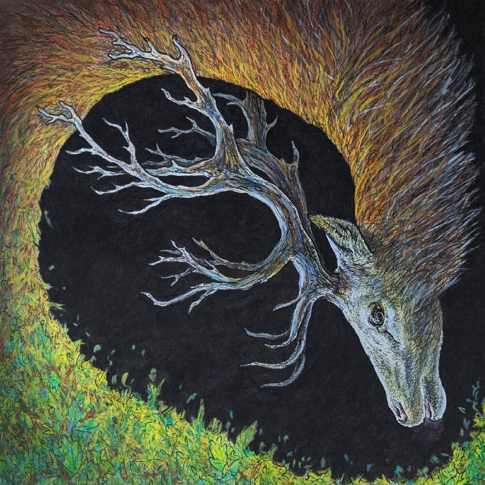 [PRE-ORDER] Petrels - Infangthief - Clear Black Smoke (Blk) (Clear Vinyl) (Deluxe)