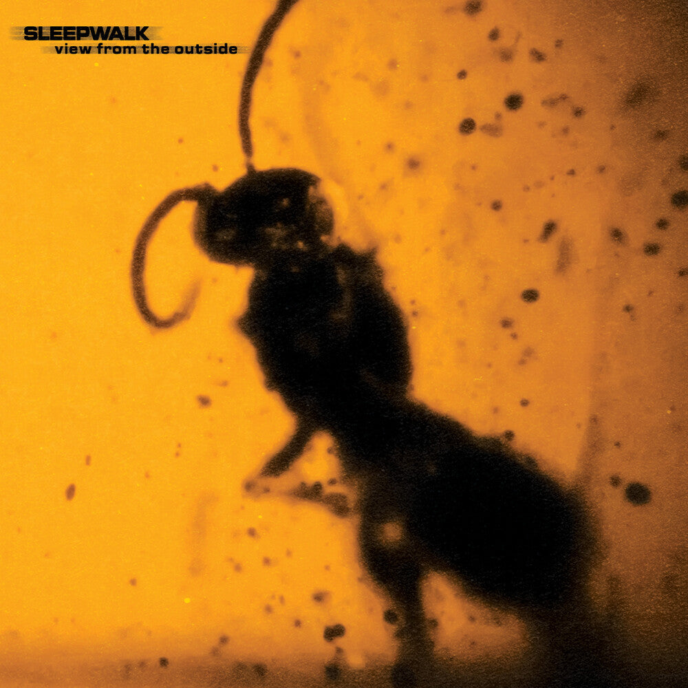 [PRE-ORDER] Sleepwalk - View From The Outside (LP)