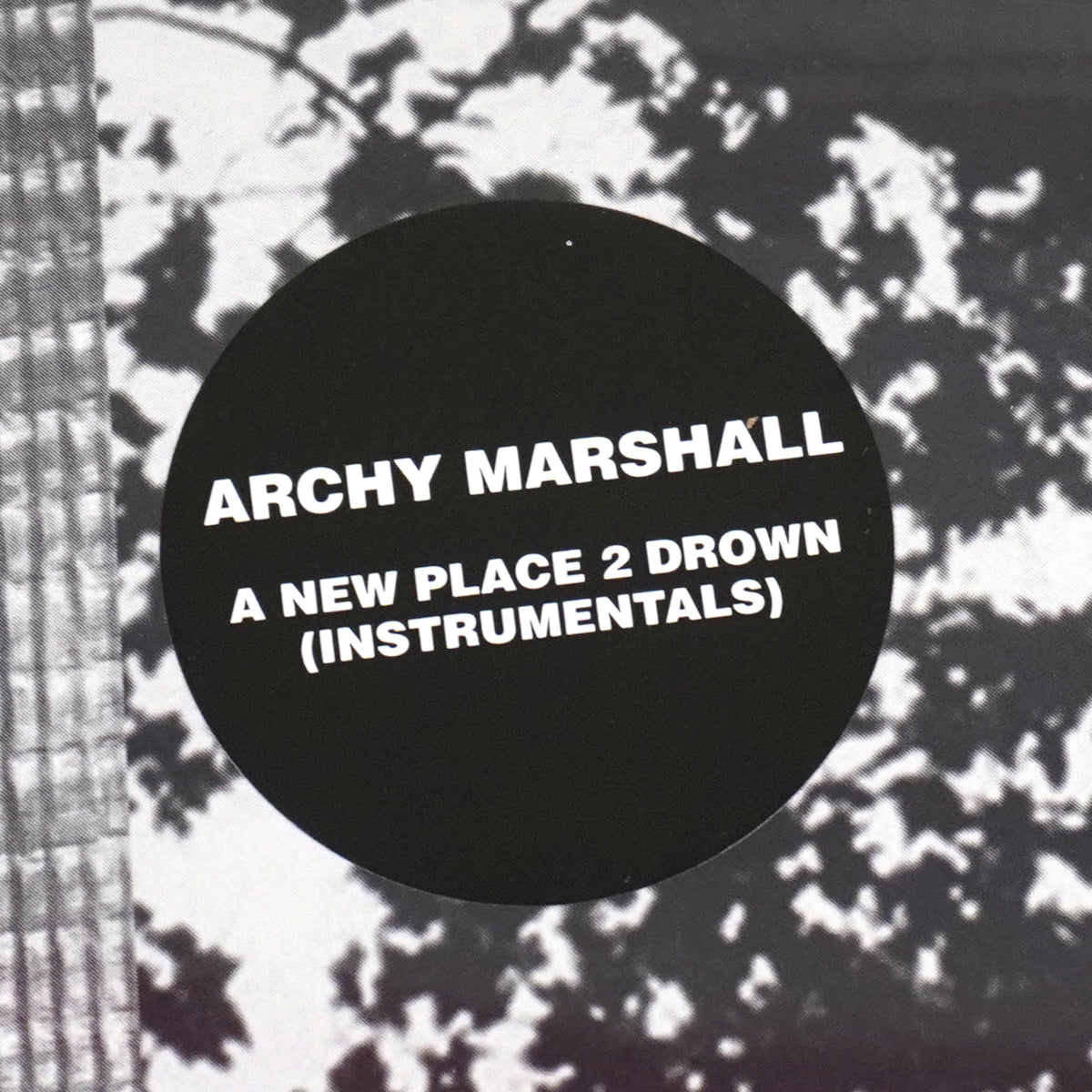 Archy Marshall: A New Place 2 Drown - Instrumentals (King Krule)