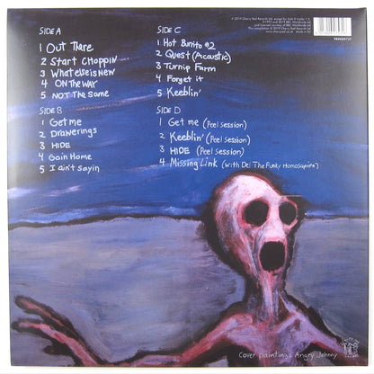 Dinosaur Jr.: Where You Been - Deluxe Expanded Edition (Colored Vinyl) Vinyl 2LP
