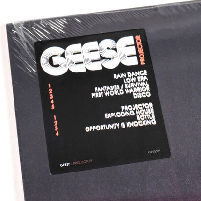 Geese: Projector